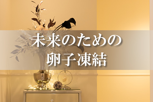 中林レディースクリニック・未来のための卵子凍結